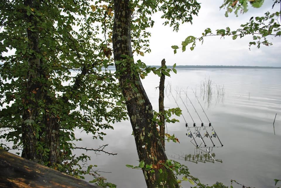 Lansat vs Plantat. Partea a II-a.